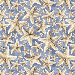Medium Blue - Starfish